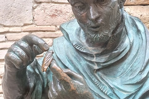 Fransiskus ja heinäsirkka.